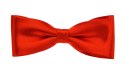 Bow Tie Victorio 001