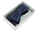 Bow Tie Victorio + pocket square Lux 099