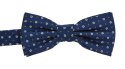 Bow Tie Victorio + pocket square Lux 099